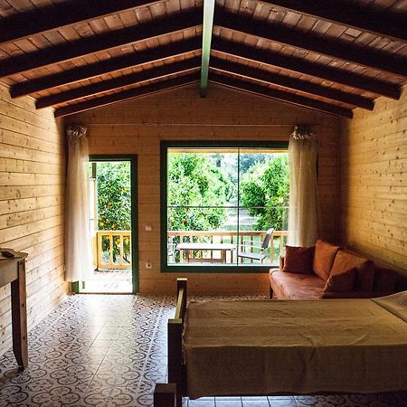 Ekinoks Hotel - Adults Only Çıralı Værelse billede