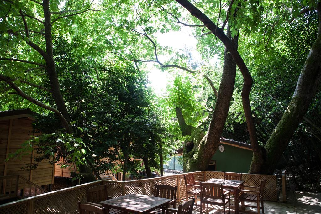 Ekinoks Hotel - Adults Only Çıralı Eksteriør billede